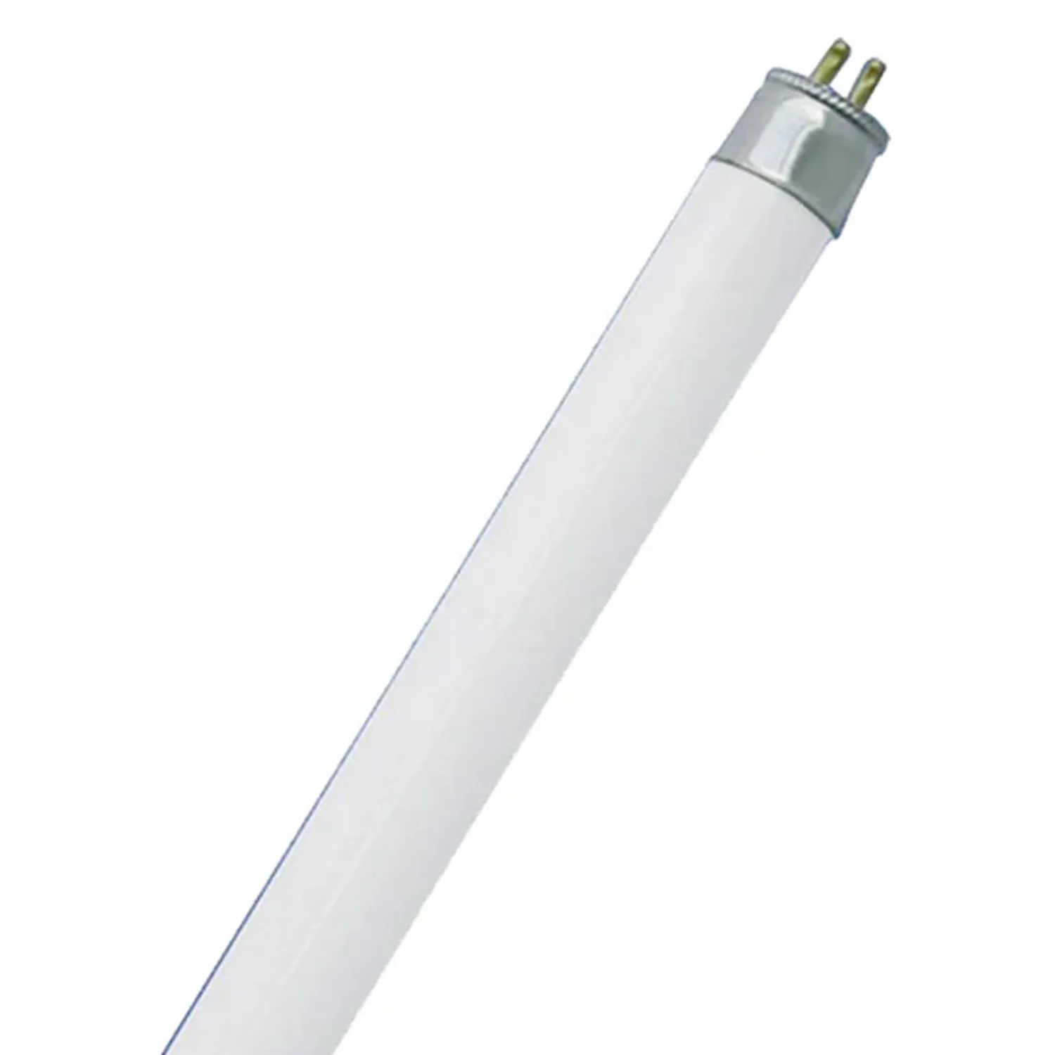 14w Fluorescent T5 2 Foot Globe Warm White 3000k, Cool White 4000k, Natural White 5000k CLAT514W