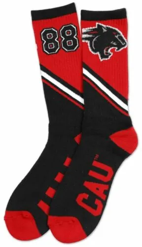 Clark Atlanta University Socks Panthers