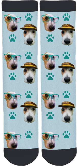 Frankie The Jack Russell Rescue Dog Socks