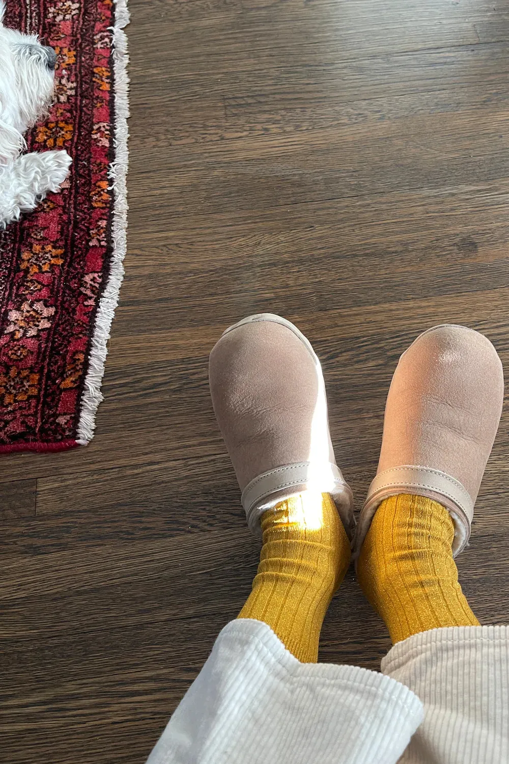 Le Bon Shoppe Her Mustard Glitter Socks