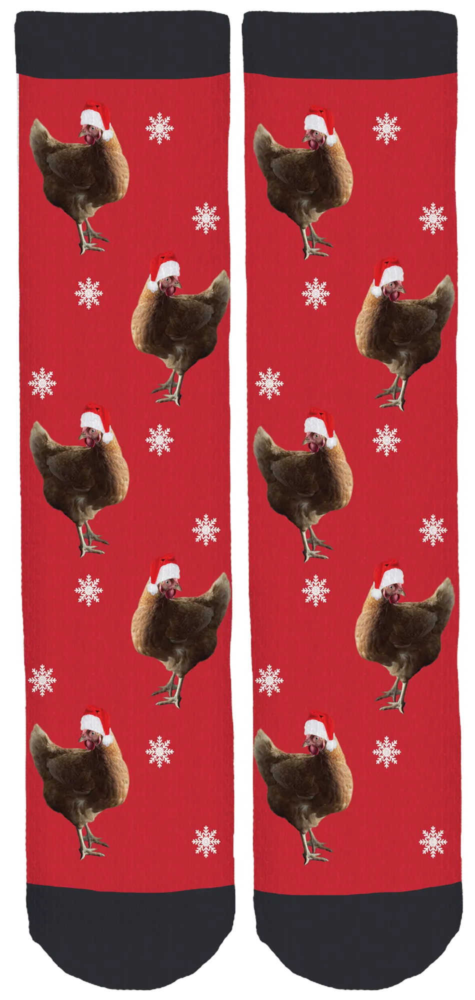 Limited Edition Sophia Socks