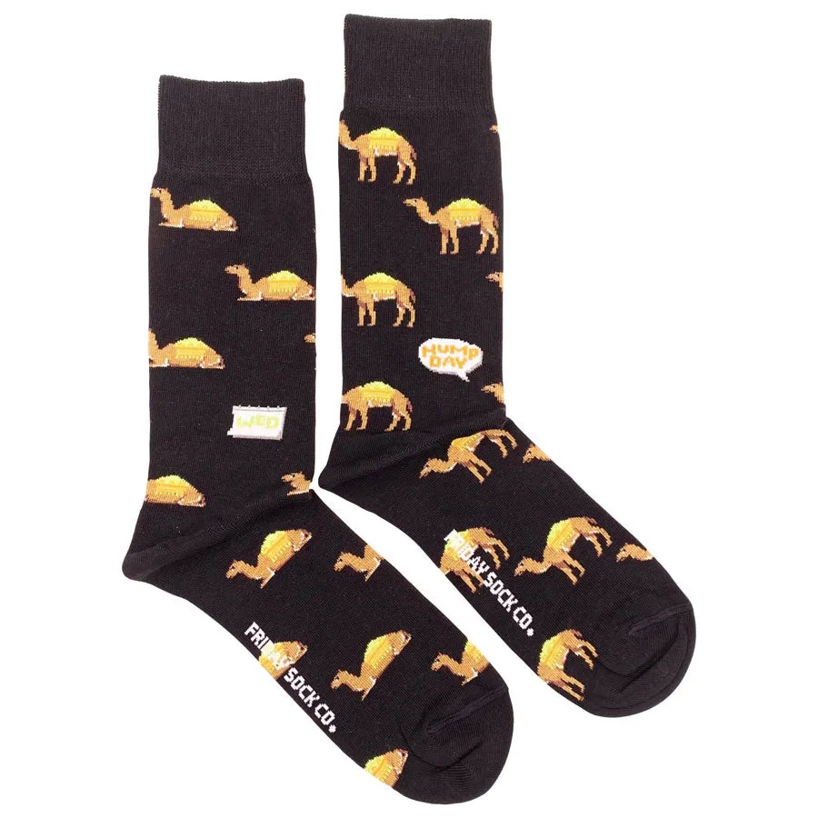 Men's Hump Day Socks