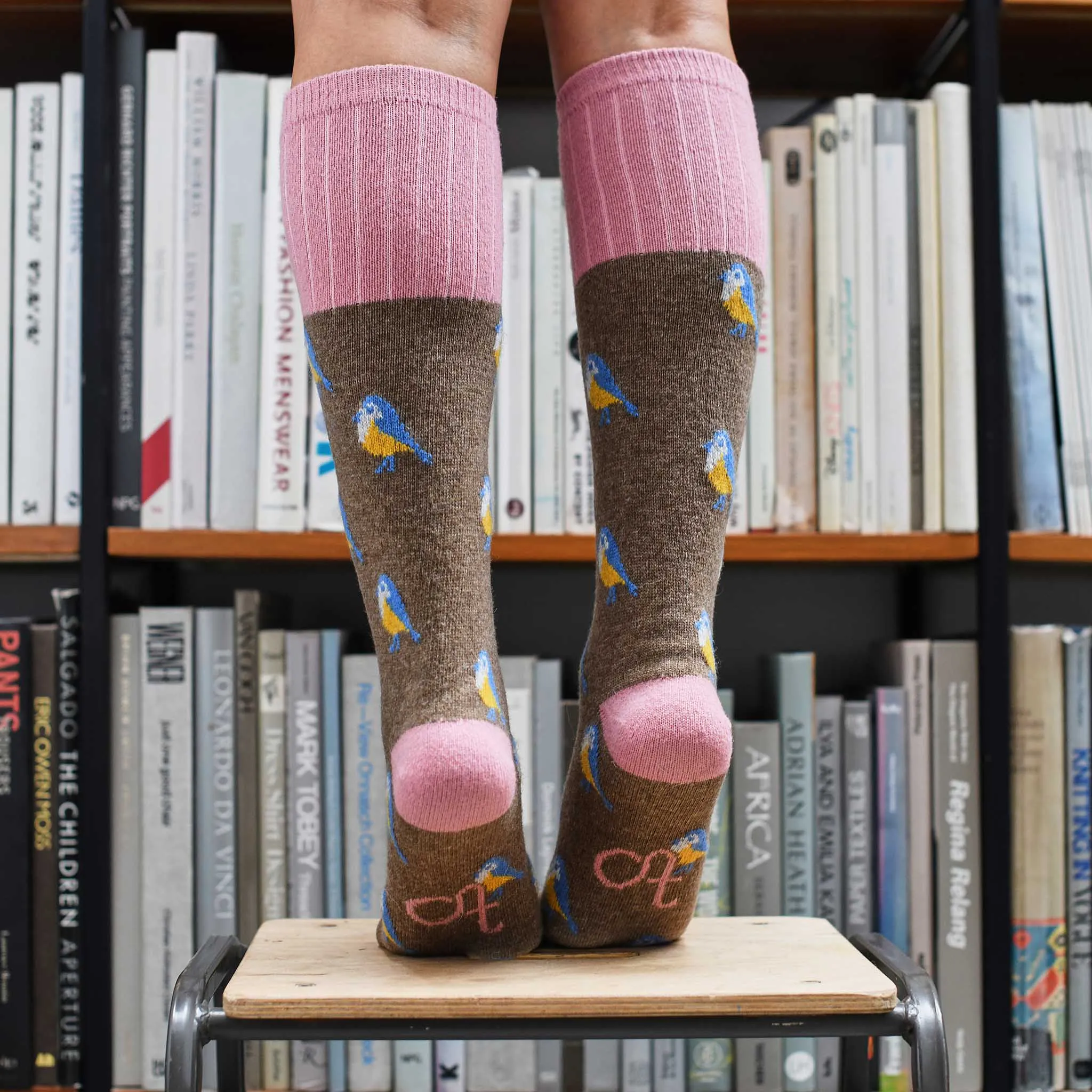 SOCK CLUB GIFT SUBSCRIPTION - 12 MONTH SEASONAL SELECTION