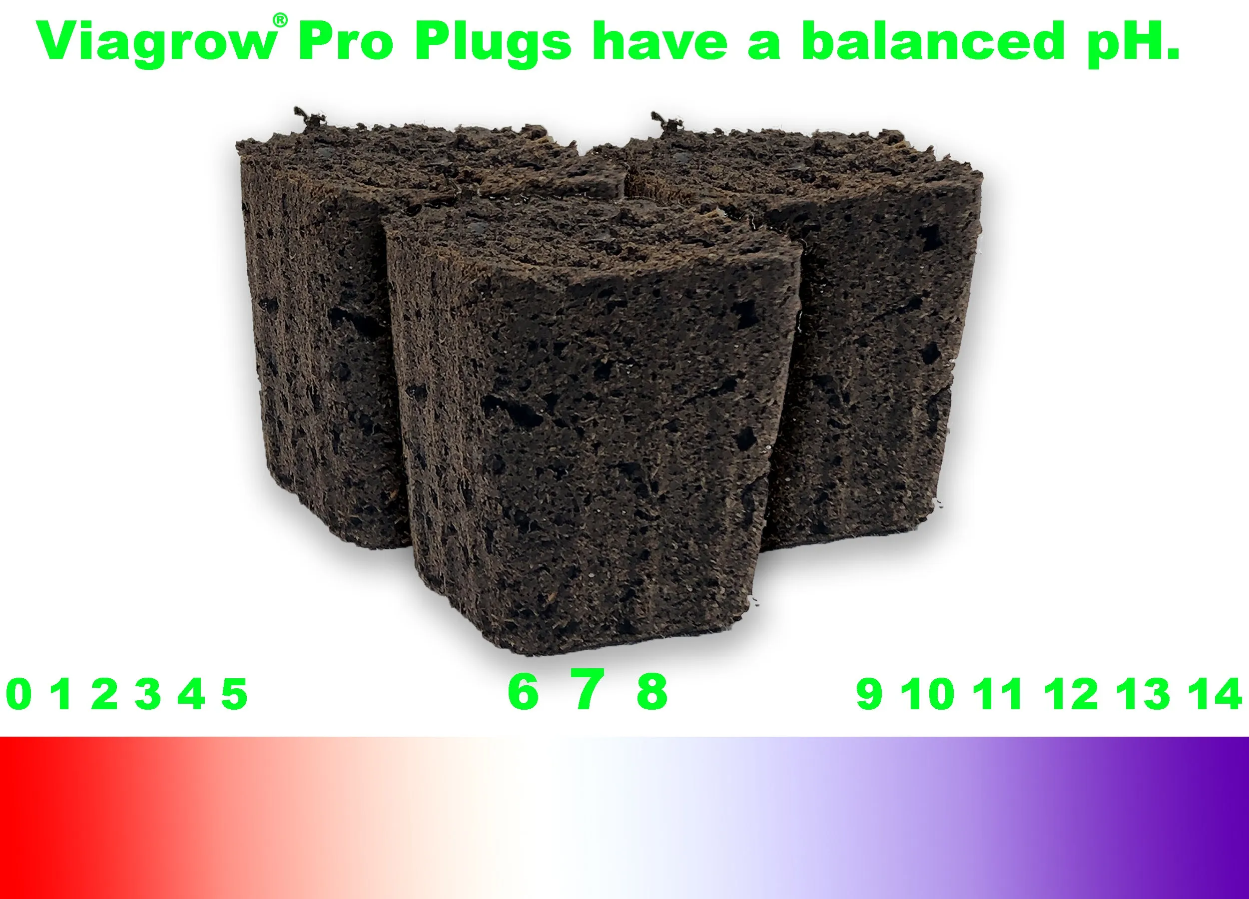 Viagrow 50-Site Pro Plug Seed Starter with Tray (Pack of 12)